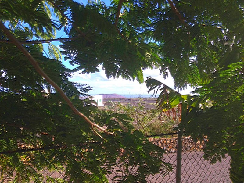 vista desde la terraza